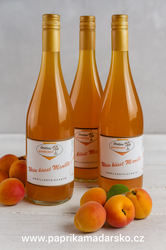 Schreiber – Meruňkové Frizzante 0,75 l (Wein küsst Marille)